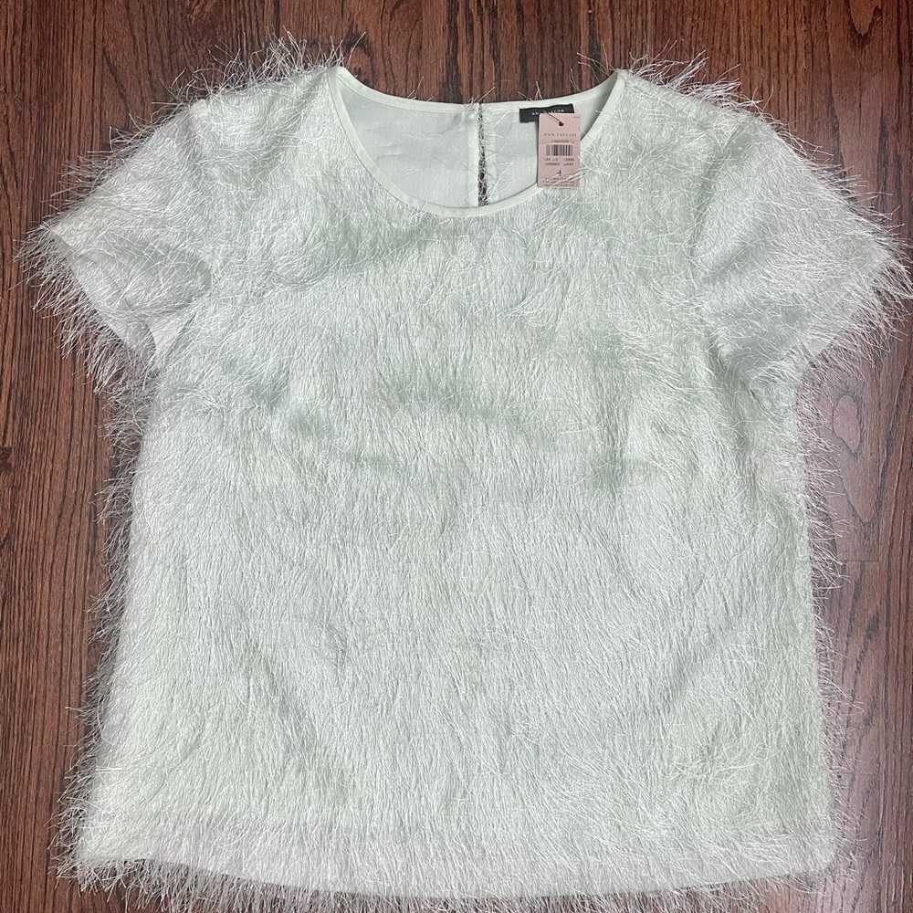 Ann Taylor Shirt / Top